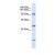 Western Blot: AlaRS Antibody [NBP1-57212] - This Anti-AARS antibody was used in Western Blot of 293T tissue lysate at a concentration of 1ug/ml.